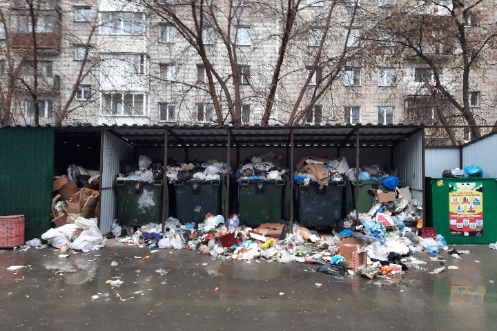 Жители Новосибирской области продолжают жаловаться на проблемы с вывозом мусора