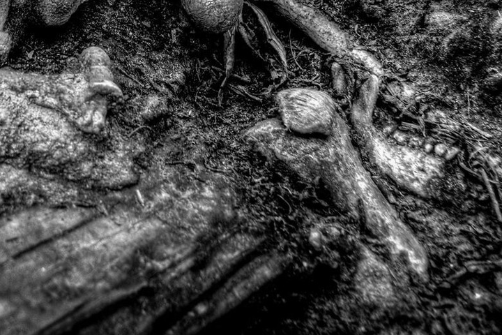 Скелеты новорожденных детей нашли в новосибирском селе