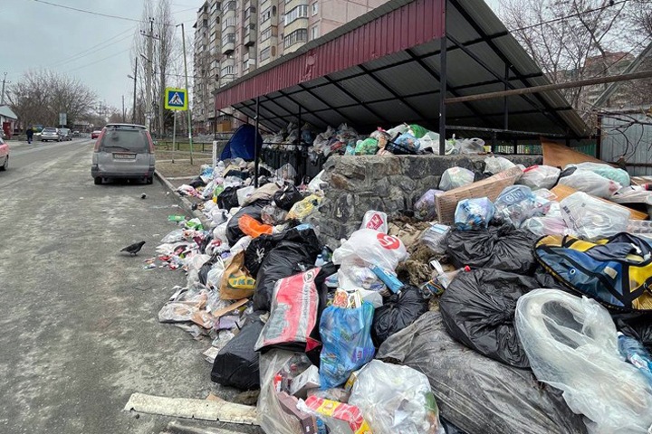 Продолжение мусорного коллапса спрогнозировали в Новосибирске