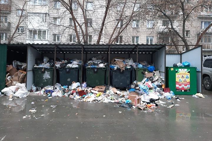 «Экстремистские действия» и «коммунальный терроризм»: в горсовете Новосибирска назвали виновных в мусорном коллапсе