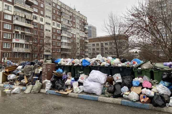 Депутаты предложили лишить статуса регоператора «Экологию-Новосибирск» из-за мусорного коллапса