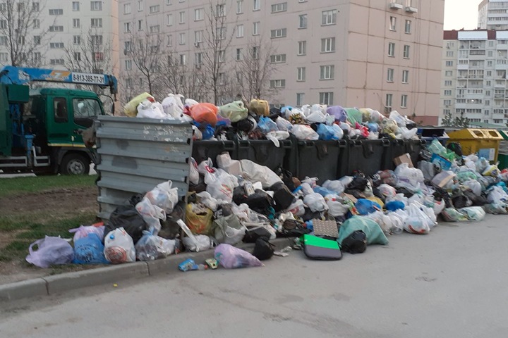Проблемы с вывозом мусора продолжаются в Новосибирске