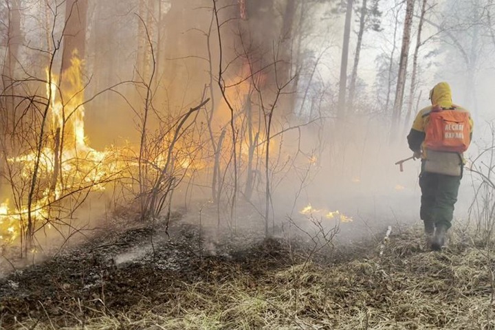 Огонь прошел более 75 тыс. га леса в Сибири