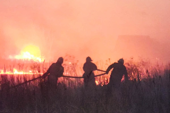 Сибирские губернаторы обвинили энергетиков в массовых пожарах. Погибли 17 человек