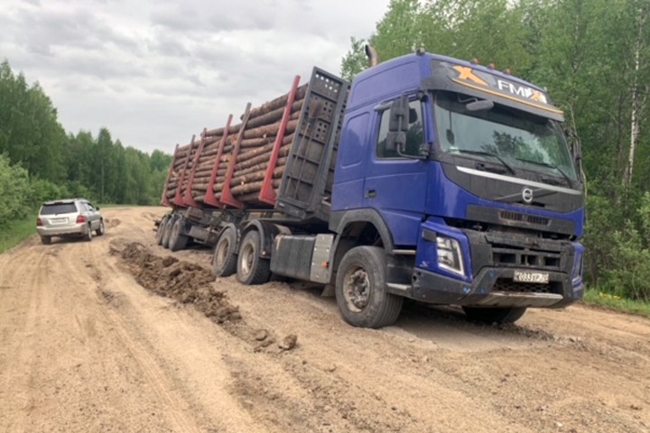 Вывозящие новосибирский лес томичи уничтожили региональную дорогу