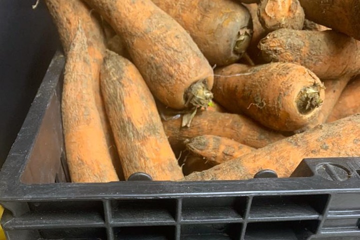 Картофель подорожал более чем вдвое, морковь — на четверть: обзор цен в Новосибирске