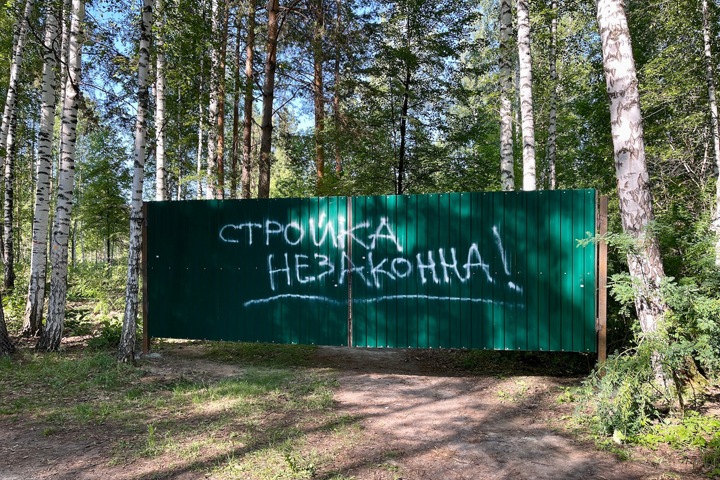 Деревья начали вырубать под новые корпуса НГУ в Академгородке