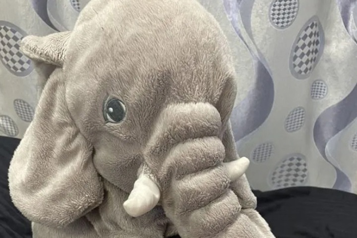 Слона из IKEA продают почти за 2 млн в Иркутске