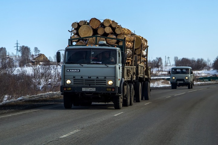 Алтайские власти предложили урезать жителям нормы древесины для строительства частных домов