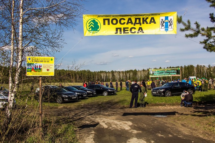 Новосибирские власти урезают жителям нормы древесины для строительства и отопления частных домов
