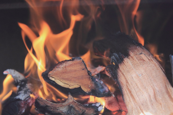 Жители Томской области не могут заготовить дрова на зиму