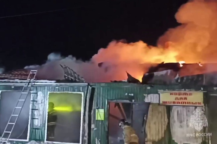 Пожарного инспектора задержали по делу о гибели 22 человек в кемеровском приюте