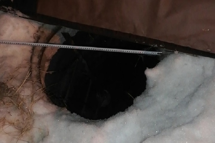 Ребенок упал в открытый канализационный люк в Новосибирске