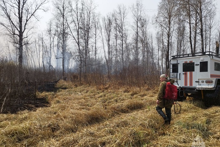 Особый противопожарный режим продлят в Новосибирской области