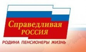 Бюро новосибирской организации партии «Справедливая Россия» выразило недоверие председателю
