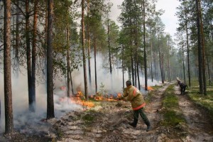 Режим ЧС в связи с сильными лесными пожарами введен в пригородном с Читой районе