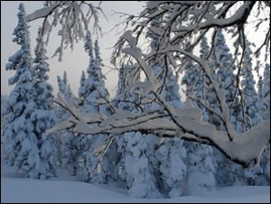 МЧС России предупреждает о сильных морозах в Туве, Хакасии и Красноярском крае