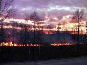  Лесные пожары распространяются по Сибири