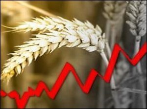 Цены на хлеб в Забайкалье выросли на 10-15%