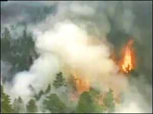 Четыре лесных пожара зафиксированы в районах Забайкальского края