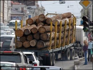 В Красноярском крае создадут 20 производств по глубокой переработке древесины
