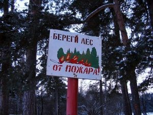 Почти три с половиной тысячи гектаров леса горит в Сибири 