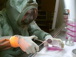 Вакцина от свиного гриппа появится в России к октябрю