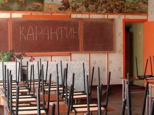 Гимназия в Чите закрыта на карантин из-за "свиного" гриппа