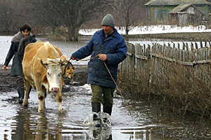 Тяжелая паводковая ситуация ждет жителей Иркутской области — МЧС