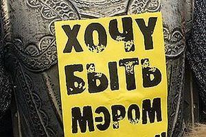 Сторонники кандидата в мэры Иркутска Романова устроили митинг 