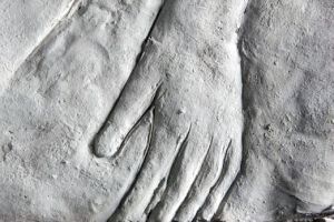 Фрагмент человеческой руки обнаружен на территории школы в Красноярске