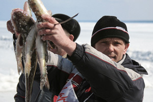 Новосибирские рыбаки встретили весну с новым пивом «Сибирский бочонок Живое»
