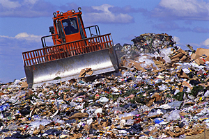 Новосибирск познакомится с мировым опытом переработки отходов