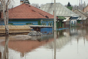 Около 100 жилых домов подтопило в Новосибирской области