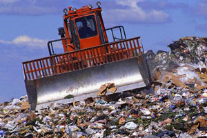 Новосибирцы убрали более 11,5 тысяч тонн мусора с улиц города
