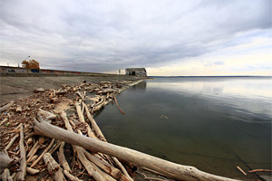 Новосибирская ГЭС провела акцию по уборке мусора с берега Обского моря