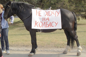 Пикет в защиту конно-спортивной школы прошел в Новосибирске